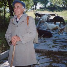 <p>A goatherd in central Bulgaria.</p>