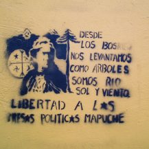<p>'From the forests we rise like trees. We are river, sun, and wind. Freedom for the Mapuche political prisoners'. A pointed stencil in Santiago.</p>