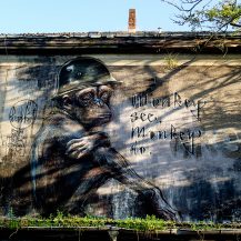 <p>This mural on the wall of a squat is part of the Giant Storybook Project by Herakut, a street art duo from Berlin.</p>