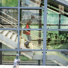 <p>Passenger, pigeons, and historic photos at a Berlin station.<br /></p>