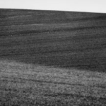 <p>Fields near Obersdorf create an abstract intersecting pattern.</p>