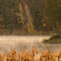 <p>Morning mist over a small lake east of Berlin</p>