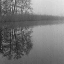 <p>Early morning fog on Papillensee, a small lake.</p>