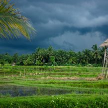 <p>A storm front moves in over rice paddies near Ubud, on Bali. </p>