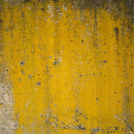 <p>An ochre wall catches the morning sun.</p>