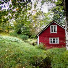 <p>A quiet (abandoned?) cabin in the forests of Askøy, an island off Norway's coast near Bergen.</p>