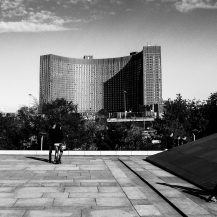 <p>Russia's largest hotel dates from the late 1970s, when it was built as part of the facilities for the 1980 Olympics in Moscow. There are over 1750 rooms in the Cosmos, which still operates today.<br /></p>