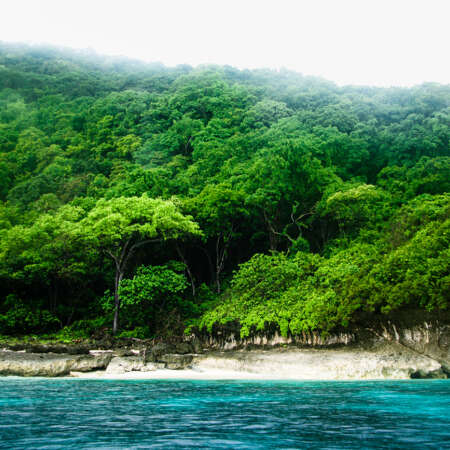 <p>Jungle meets sea along a stretch of the almost untouched coastline of Timor-Leste's far east, between Com and Jaco.</p>