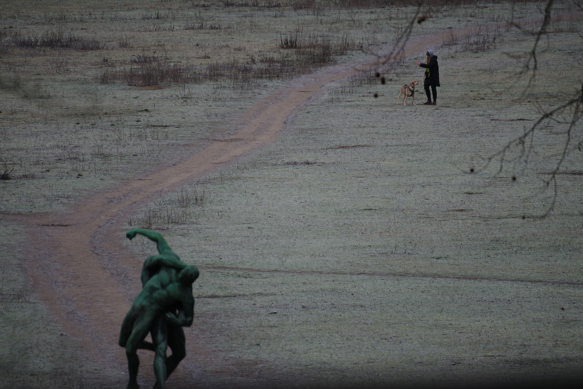 <p>A woman walks her dog on a frosty morning.</p>