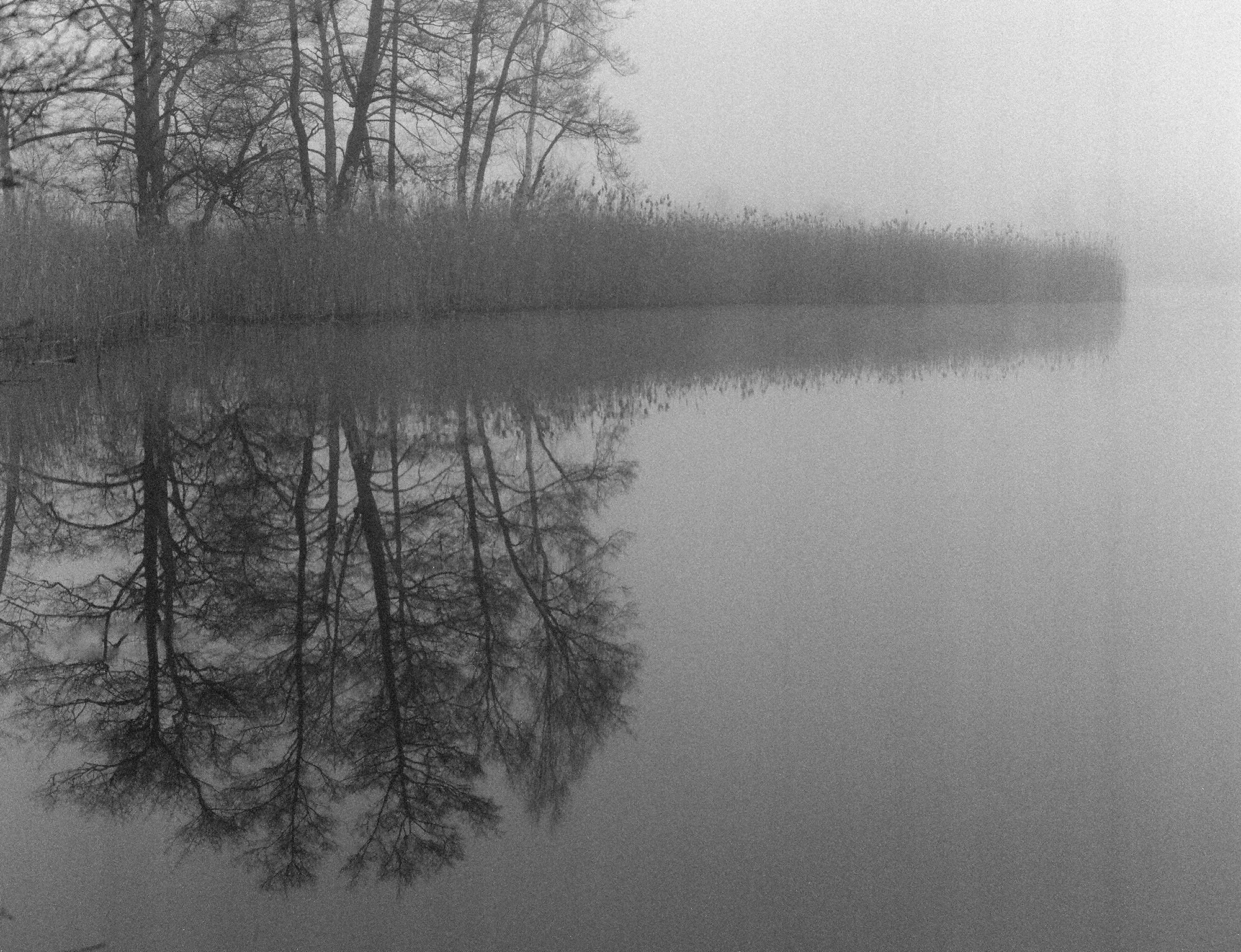 <p>Early morning fog on Papillensee, a small lake.</p>