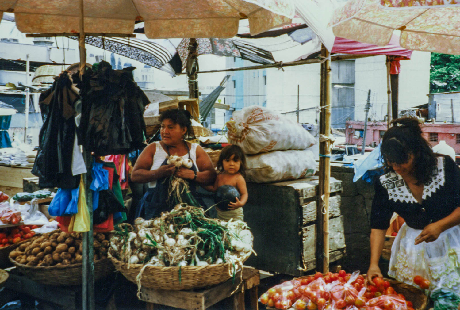 <p>Vegetable sellers set out their produce at the central market while a youngster waits to play. </p>