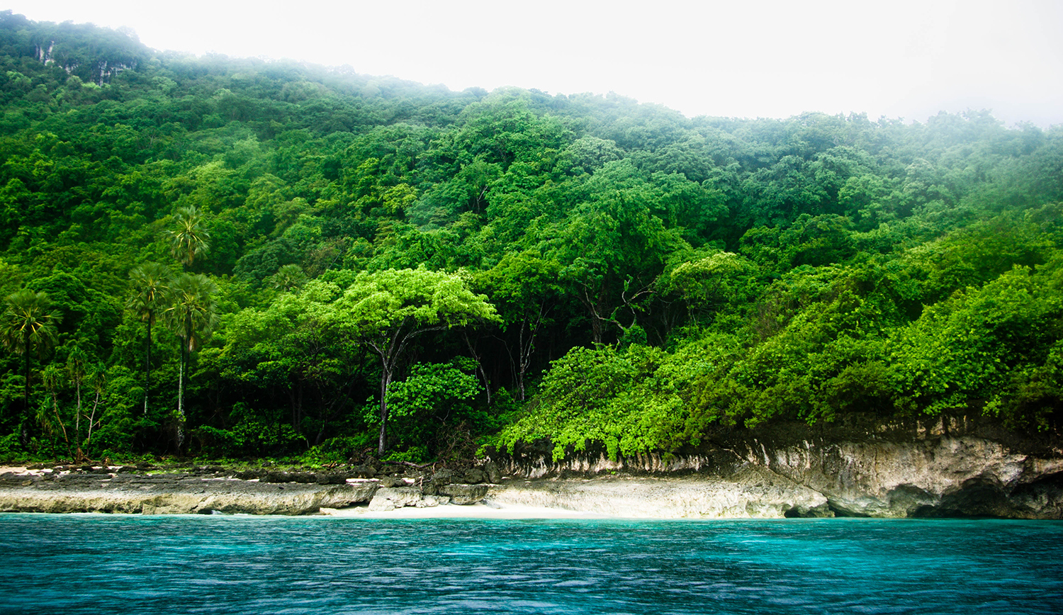 <p>Jungle meets sea along a stretch of the almost untouched coastline of Timor-Leste's far east, between Com and Jaco.</p>
