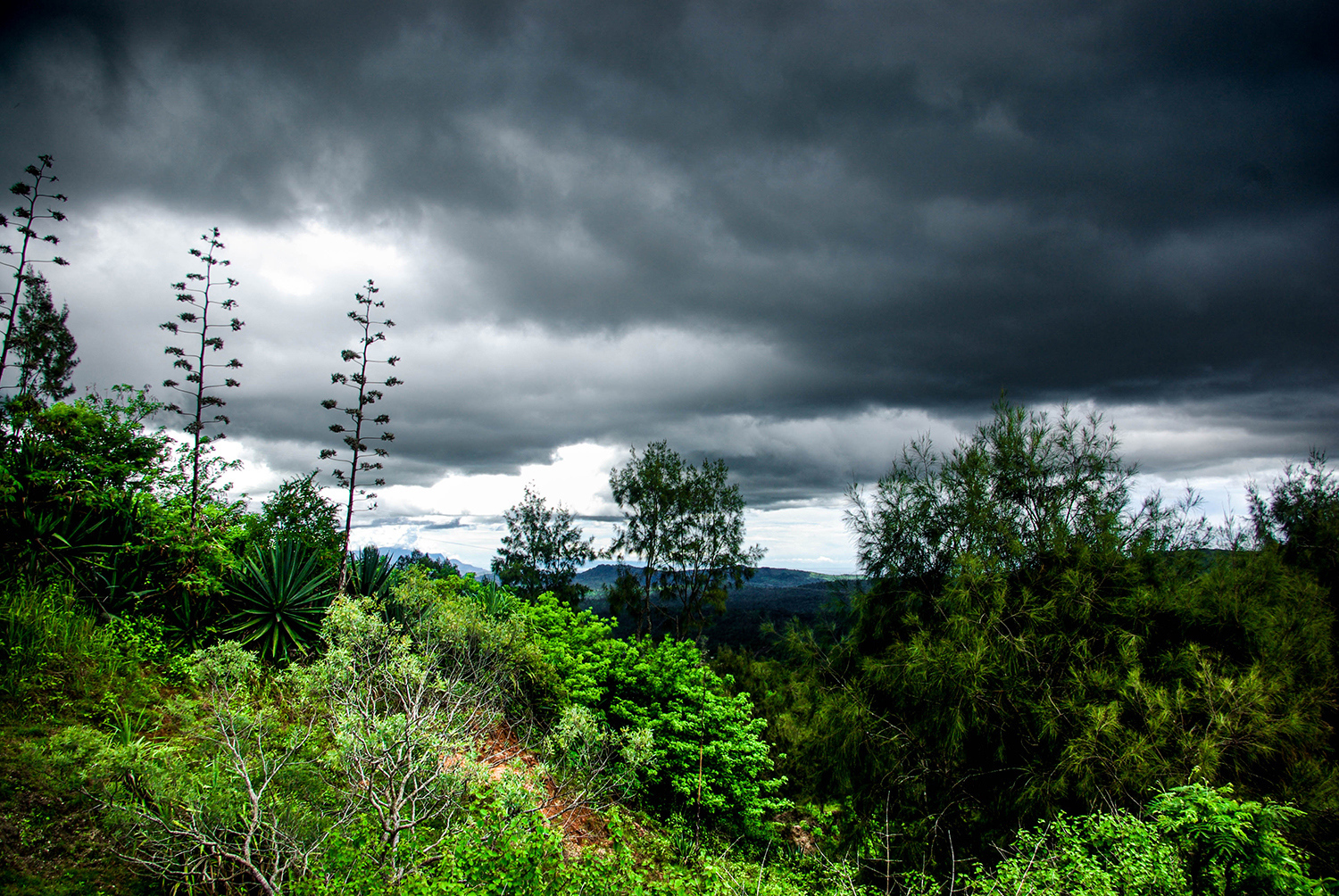 <p>A view of the fast-changing rainy season weather, somewhere in the Timorese central highlands.</p>